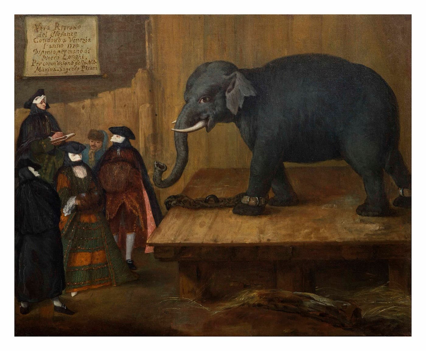 Pietro Longhi, L'Elefante